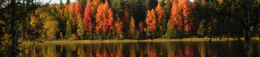 Autumn3.jpg
